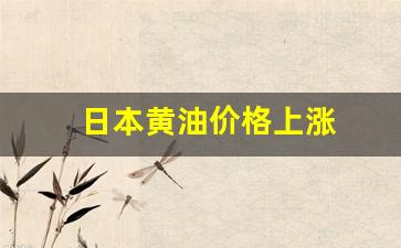 日本的黄油是什么样的包装-日本黄油价格上