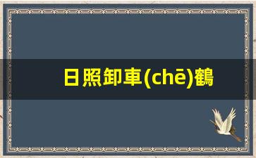日照卸車(chē)鶴管廠家(裝卸車(chē)鶴管)(1)