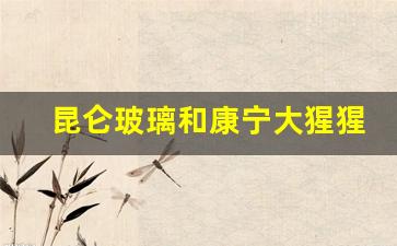 昆仑玻璃和康宁大猩猩对比(康宁大猩猩玻璃和康宁锅有关系吗)_https://www.eamstsz.com_创业板_第1张