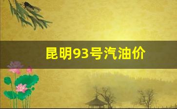 昆明93号汽油价-昆明93号汽油最新价格