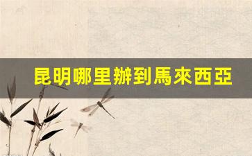 昆明快速辦理馬來西亞簽證攻略，一站式服務(wù)，輕松獲取簽證！