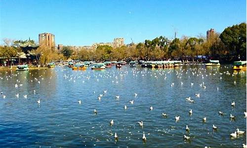 昆明市区旅游攻略景点大全一日游_昆明市区旅游攻略景点大全一日