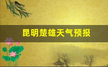 昆明楚雄天气预报_昆明楚雄天气预报15天查询结果