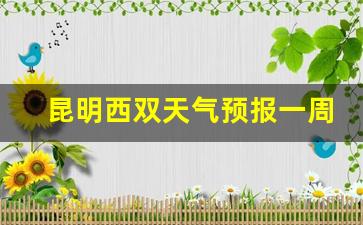 昆明西双天气预报一周天气情况如何_西双天气预报15天气