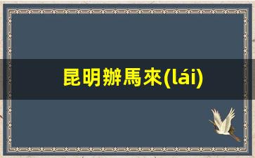 昆明馬來(lái)西亞領(lǐng)事館辦理簽證服務(wù)詳情及聯(lián)系電話一覽