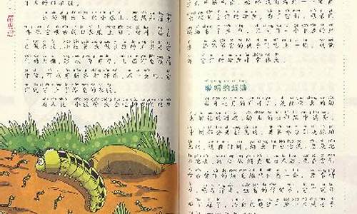 昆虫迷作文300字蚂蚁_昆虫迷作文300个字