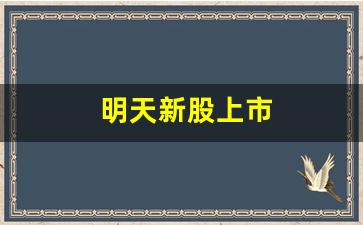 明天新股上市(明天新股上市预测)_https://www.heiljjianzu.com_深交所_第1张