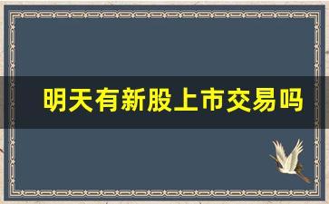 明天有新股上市交易吗(明天有新股上市交易吗)_https://www.syklpowerbike.com_科创板_第1张