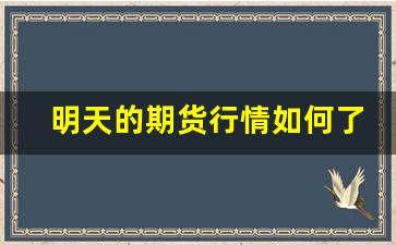 明天的期货行情如何了解(明天期货市场开市吗)_https://www.tuogunzhijia.com_纳指期货_第1张