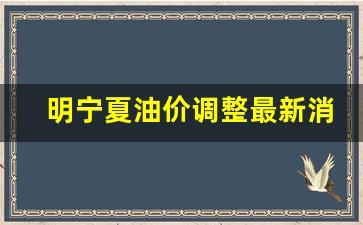 宁夏最新油价多少一升-明宁夏油价调整最新消息
