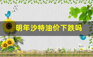 沙特宣布全面上调油价-明年沙特油价下跌吗