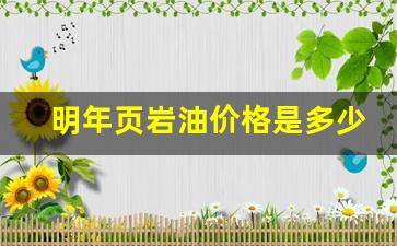 页岩油价值-明年页岩油价格是多少