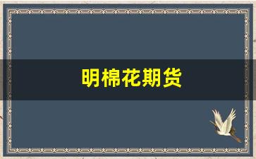 明棉花期货(棉花期货实时行情图)_https://www.luoxuangg888.com_上交所_第1张