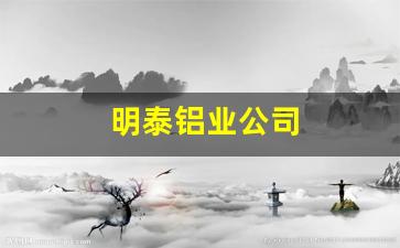 明泰铝业公司(明泰铝业公司怎么样)_https://www.senxinmaoyi.com_快递查询_第1张