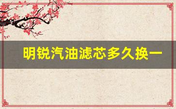 15款新明锐汽油滤芯更换攻略_明锐汽油滤芯多久换一次比较好