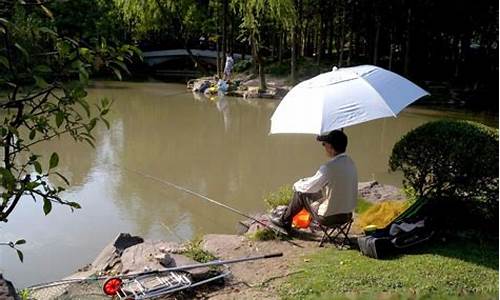 春天钓鲤鱼什么时候最佳_春天钓鲤鱼天气选择