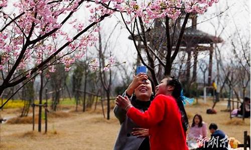 春暖花开是什么生肖_春暖花开是什么生肖啊图片