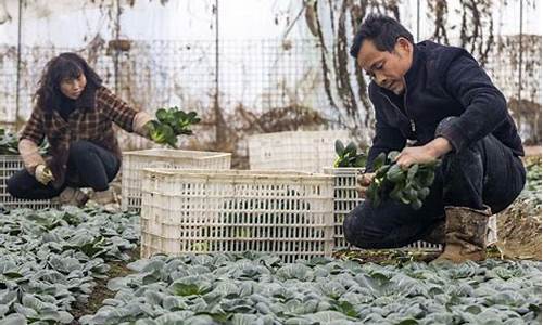 江苏泰州天气状况_春节江苏泰州的天气