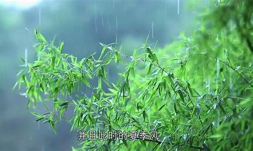 春雨贵如油是指哪个地区-春雨贵如油