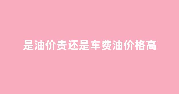 是油价贵还是车费油价格高_油费贵吗