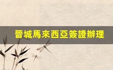晉城馬來西亞簽證辦理中心(馬來西亞陪讀簽證怎么辦理)