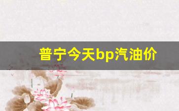 普宁今天bp汽油价-普宁今天bp汽油价格是多少