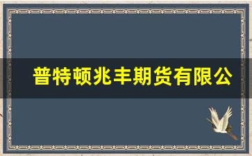 普特顿兆丰期货有限公司(兆丰控股旗下的普顿)_https://www.xzdzcjn.com_北交所_第1张
