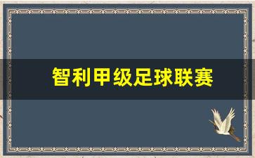 智利甲级足球联赛-智利甲ds足球