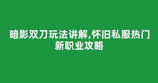 暗影双刀玩法讲解,怀旧私服热门新职业攻略