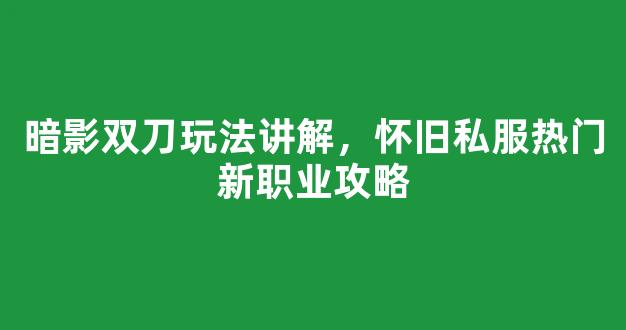 暗影双刀玩法讲解，怀旧私服热门新职业攻略