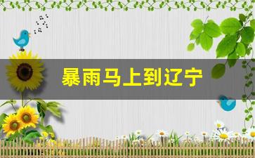 暴雨马上到辽宁_马上暴雨来了的说说