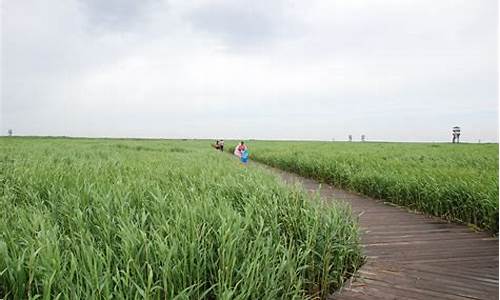 曹妃甸旅游攻略必玩的景点_曹妃甸旅游攻略必玩的景点有哪些