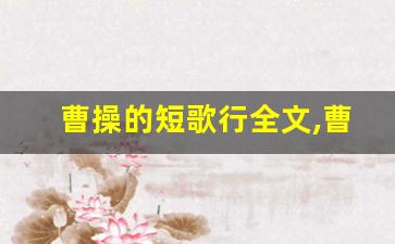 曹操的短歌行全文,曹操的短歌行讲了什么,曹操的短歌行经典句子-第1张图片-我的生活随想