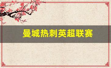 曼城热刺英超联赛-曼城热刺比赛结果