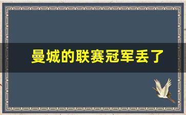 曼城的联赛冠军丢了吗-曼城的联赛冠军丢了