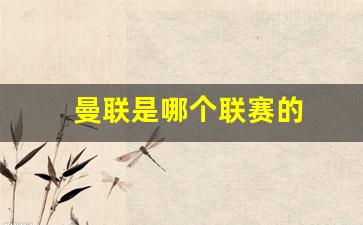 曼联是哪支球队-曼联是哪个联赛的