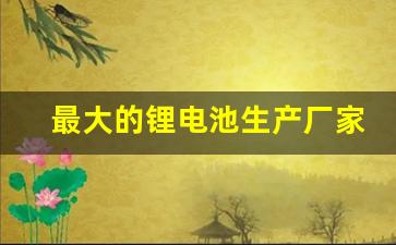 最大的锂电池生产厂家(最大锂电池生产公司)_https://www.hangfeite.com_上交所_第1张