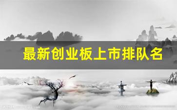 最新创业板上市排队名单(创业板上市排行)_https://www.luoxuangg888.com_深交所_第1张