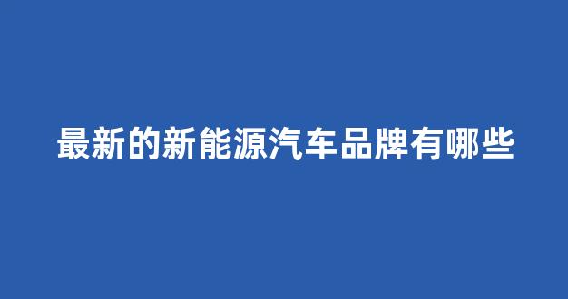 最新的新能源汽车品牌有哪些(国产新能源汽车有哪些品牌)_https://www.wguangz.com_广期所_第1张