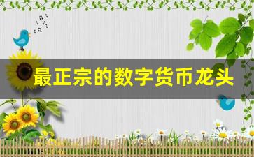 最正宗的数字货币龙头股(数字货币真龙头股)_https://www.haiwangdasha.com_广期所_第1张