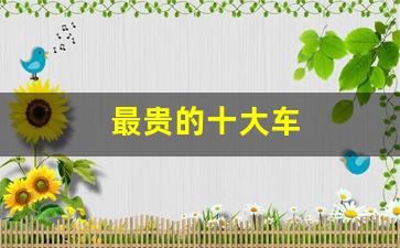 最贵的十大车(最贵的十种车)_https://www.tuogunzhijia.com_纳指期货_第1张