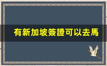 有新加坡簽證可以去馬來西亞嗎(有新加坡簽證可以去哪些國家)