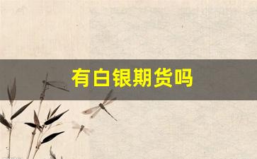 有白银期货吗(国内白银期货交易)_https://www.fzdzcxj.com_北交所_第1张