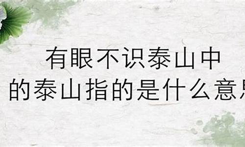 有眼不识泰山是什么意思?谢谢!-有眼不识泰山是什么意思