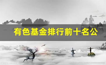 有色基金排行前十名公司(有色基金排行前十名公司有哪些)_https://www.heiljjianzu.com_科创板_第1张