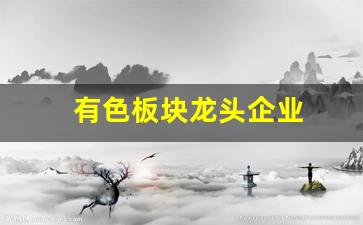 有色板块龙头企业(有色板块龙头上市公司)_https://www.hbxfywj.com_证券知识_第1张