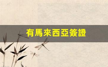 有馬來西亞簽證(有馬來西亞簽證可以去日本嗎)