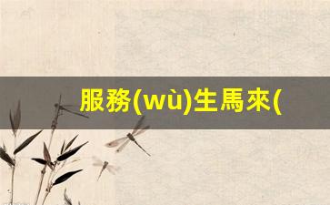 服務(wù)生馬來(lái)西亞簽證(馬來(lái)西亞工作簽證費(fèi)多少錢)