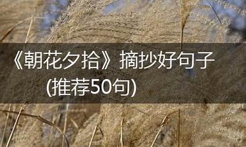 朝花夕拾句子摘抄_朝花夕拾句子摘抄大全(精选50句)