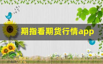 期指看期货行情app哪个好(期指ih)_https://www.wanyuyiyao.com_深交所_第1张